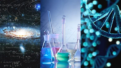 Natural Sciences: Physics, Chemistry & Biology