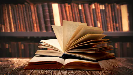 IB 영어 문학(English Literature) 선택 전 반드시 알아야 할 것들