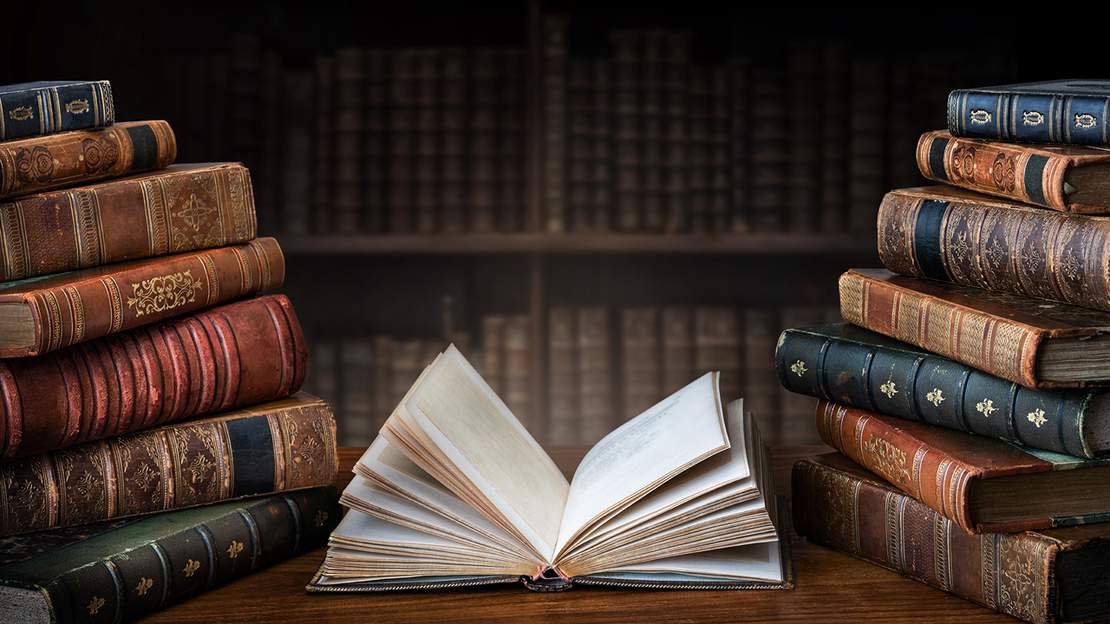 IB 영어 Literature vs Language and Literature: 반드시 알아야 할 핵심 차이