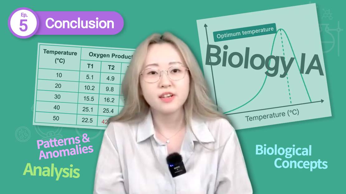 IB Biology IA: 최고 점수를 위한 결론 작성법
