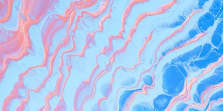 How to Master IB Business Management: Tips from an Ivy League Alumni